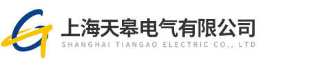 上海天皋電氣有限公司